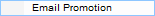 Email Promotion